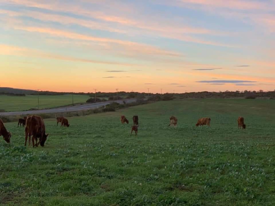 0 Bedroom Property for Sale in Riversdale Rural Western Cape